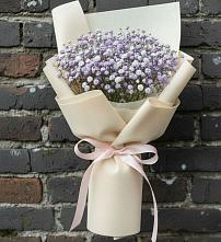Букет цветов из:  Гипсофила #REPLACE_PRED# Квиток
