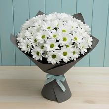 Букет цветов из:  Хризантемы #REPLACE_PRED# Квиток