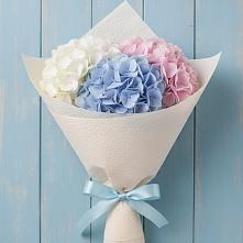 Букет цветов из:  Гортензия в Квиток