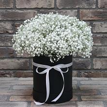 Цветочная композиция из Гипсофила в шляпной коробке в Квиток