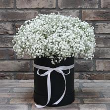 Цветочная композиция из Гипсофила в шляпной коробке в Квиток