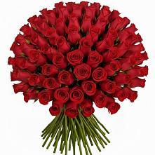 Букет Красные розы Чери Лав в Квиток
